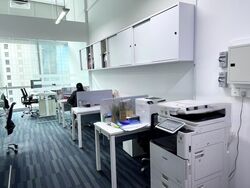 Sbf Center (D1), Office #459209341